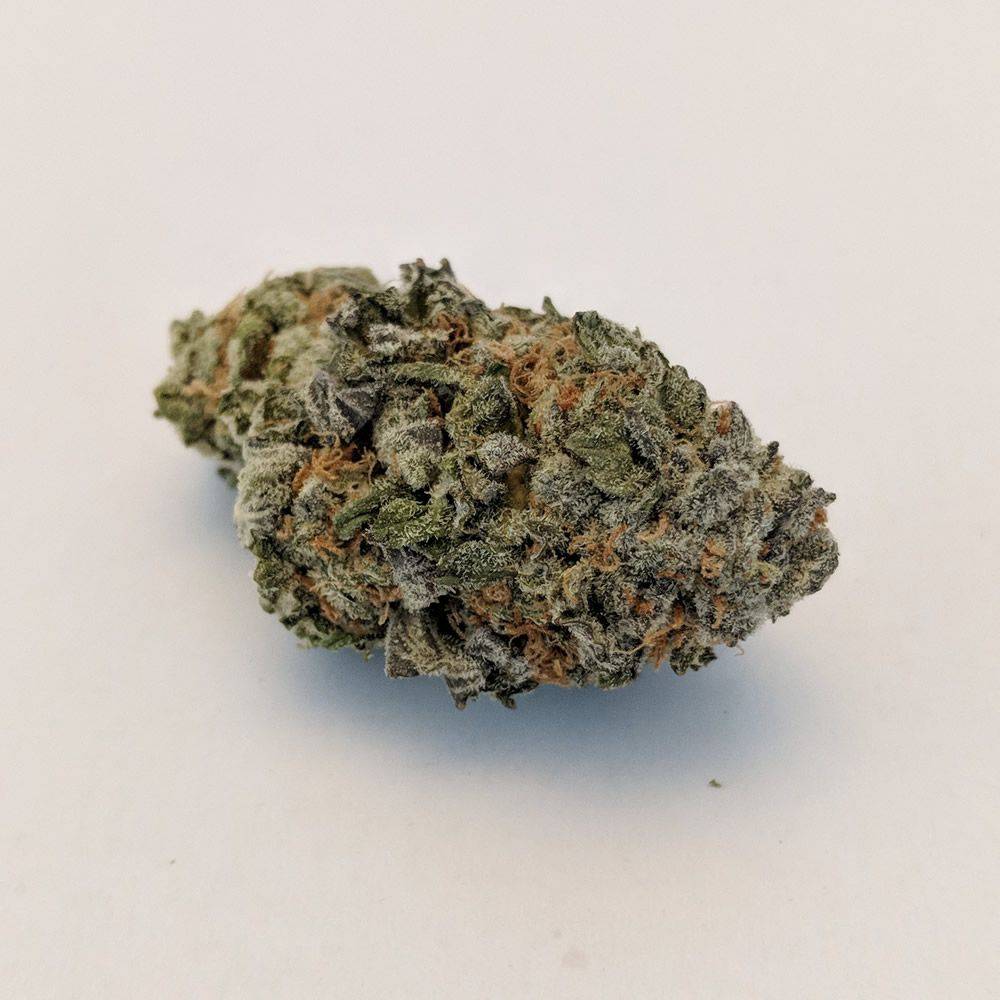 Ambrosia Marijuana