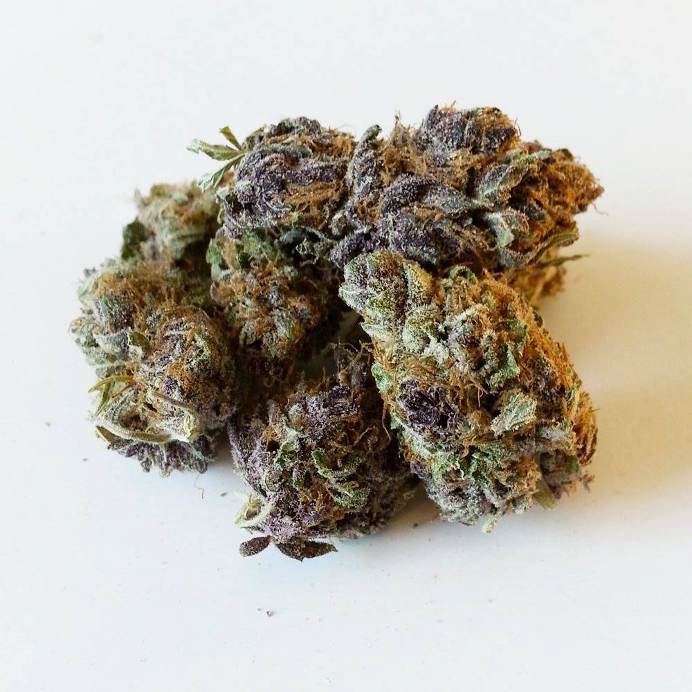 Grizzly Purple