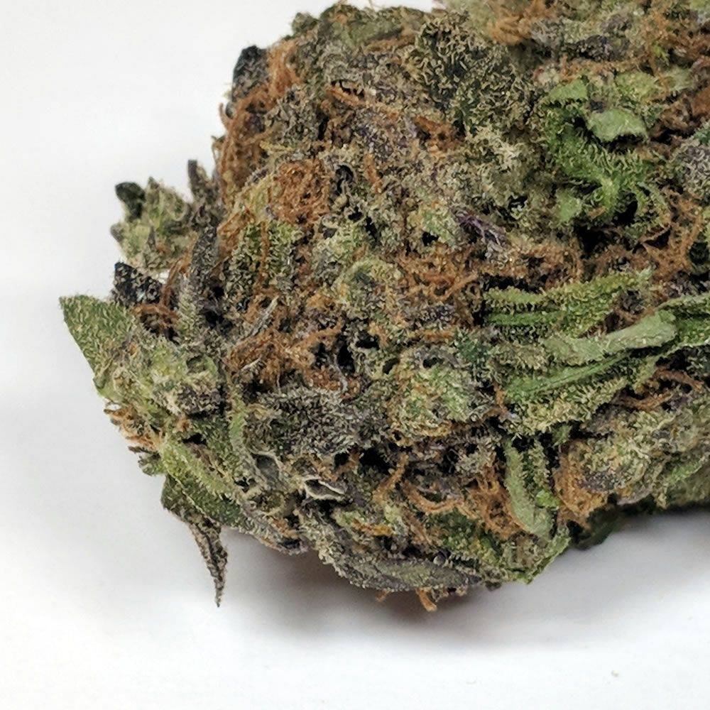 Mataro Blue Marijuana