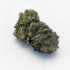 Purple Kush Marijuana